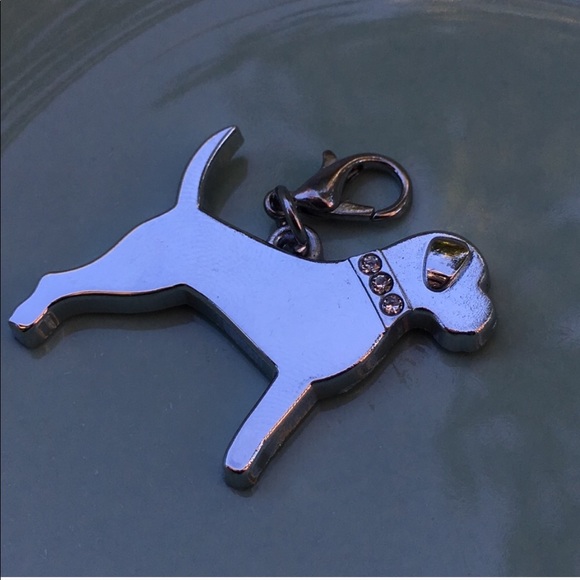 Charm ๐ Pit Bull, Lab, hound, mastiff, Rottweiler - Picture 3 of 4